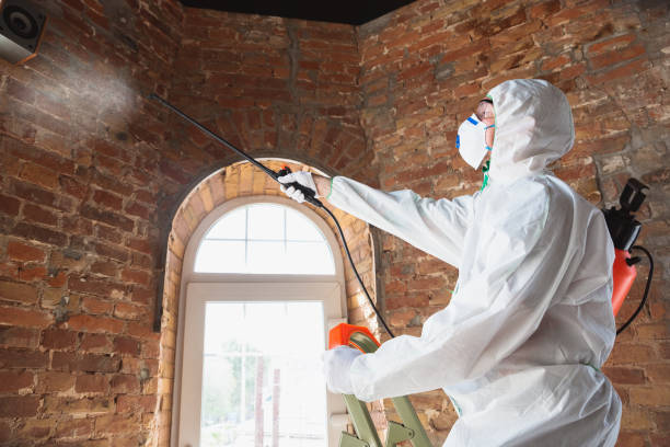 Environmental Consulting for Mold Prevention in Island Heights, NJ